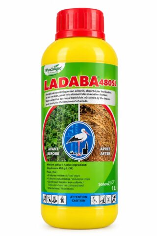 Labada
