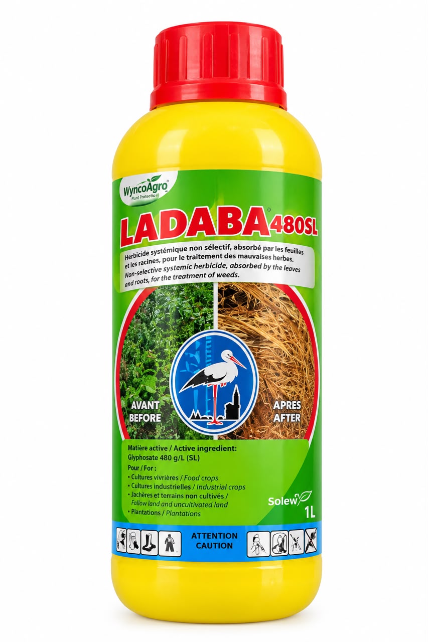Labada