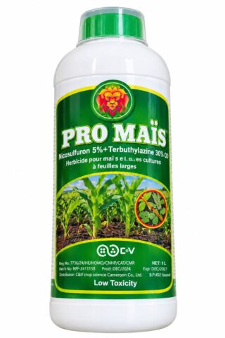 Pro Maïs
