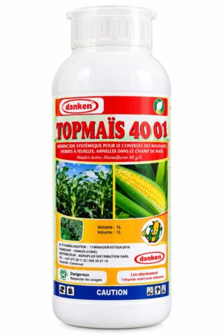 Top Maïs